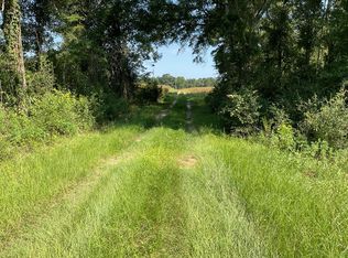 15820 Opp Hwy, Dozier, AL 36028