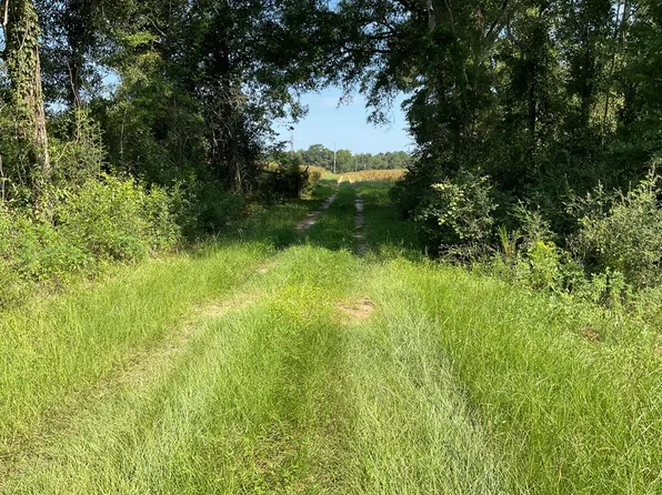 15820 Opp Hwy, Dozier, AL 36028