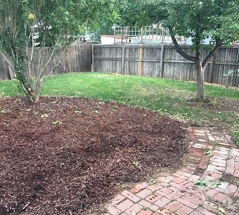 Backyard with sprinkler system.