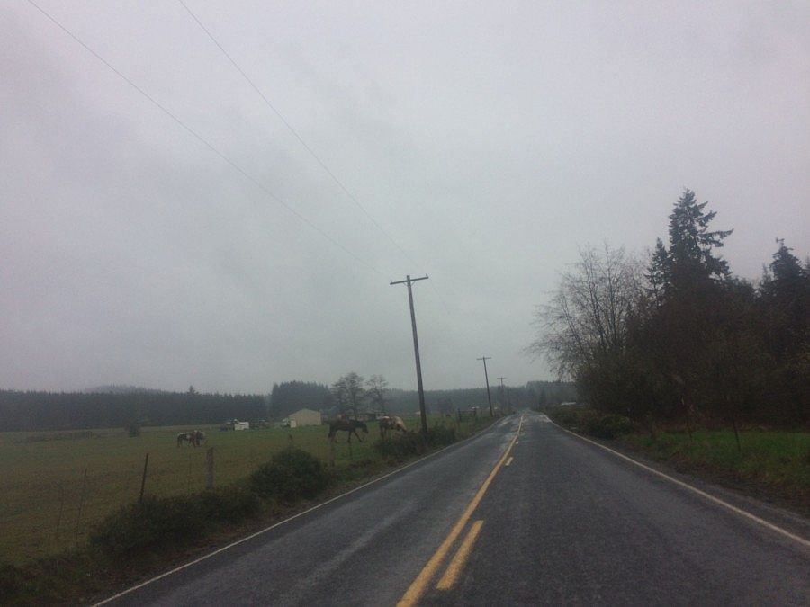 2nd image of 539A Nelson Rd