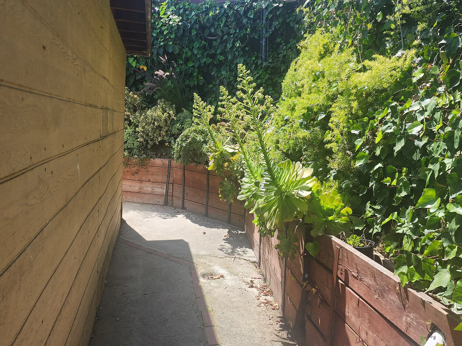 1 bed, 500 sqft, $2,395 — Photo 3
