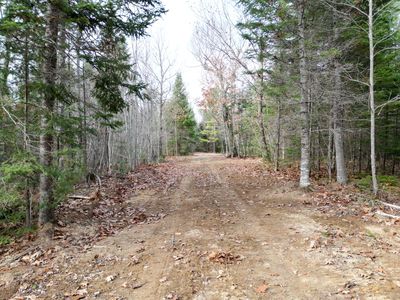 Lot 8 Stevens Brook Lane, Greenbush, ME, 04418