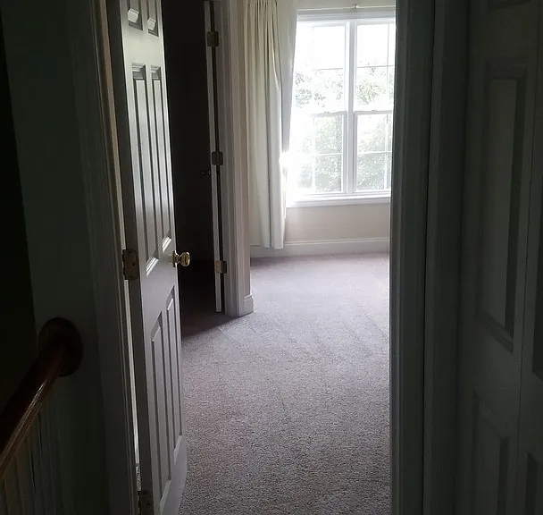 201 Hampton Forest Dr — Photo 20