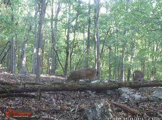 9856 S Windrow Rd, Rockvale, TN 37153