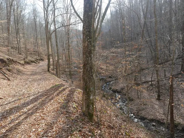 0 Homer Ln, Hiltons, VA 24258
