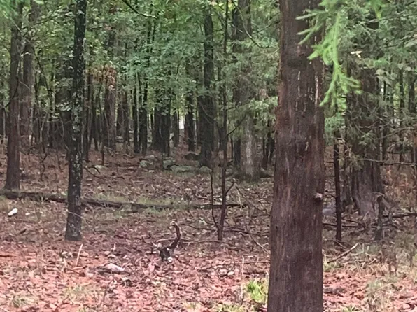 LOT 52 Tannenbaum Rd, Drasco, AR 72530