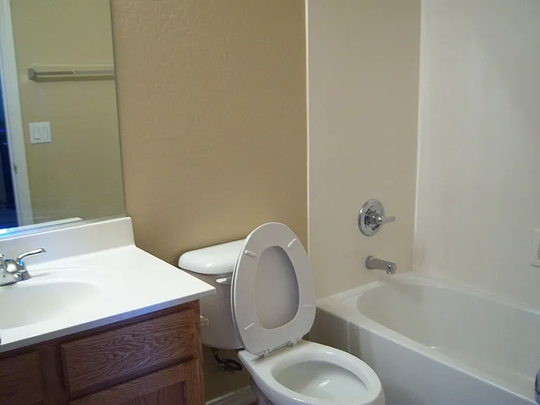 1508 E Heather Dr — Photo 54
