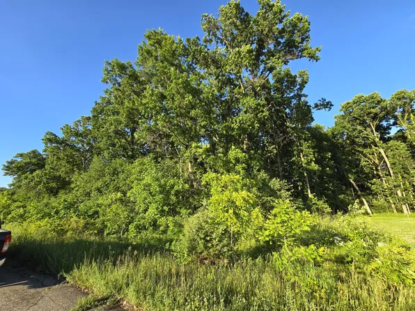 LOT 13 Embassy Rd, Edwardsburg, MI 49112