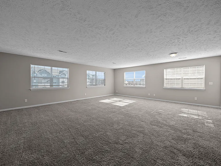 Cozy Carpeting