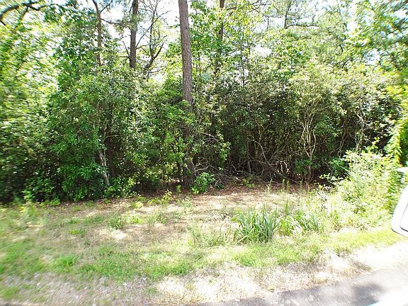 2nd image of 16 Porter Creek Dr