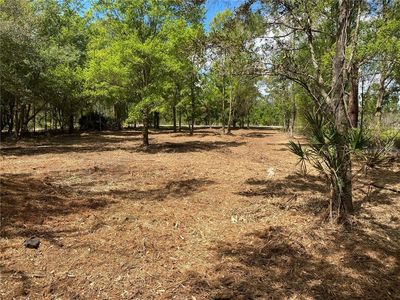 Lake Buffum Rd E, Fort meade, FL, 33841