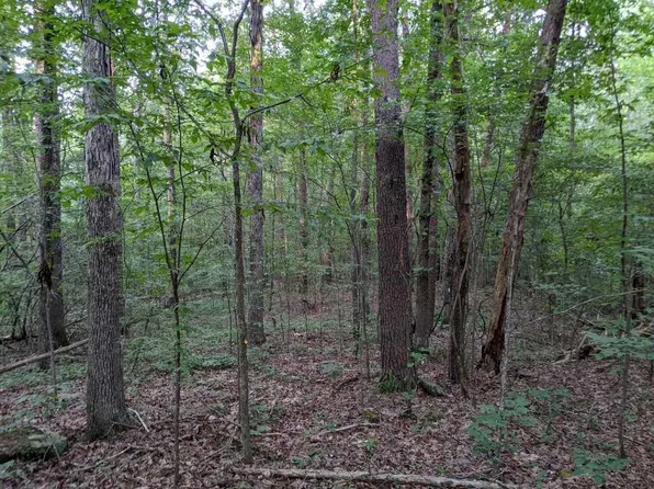 0 Douglas Rd, Tuscumbia, AL 35674