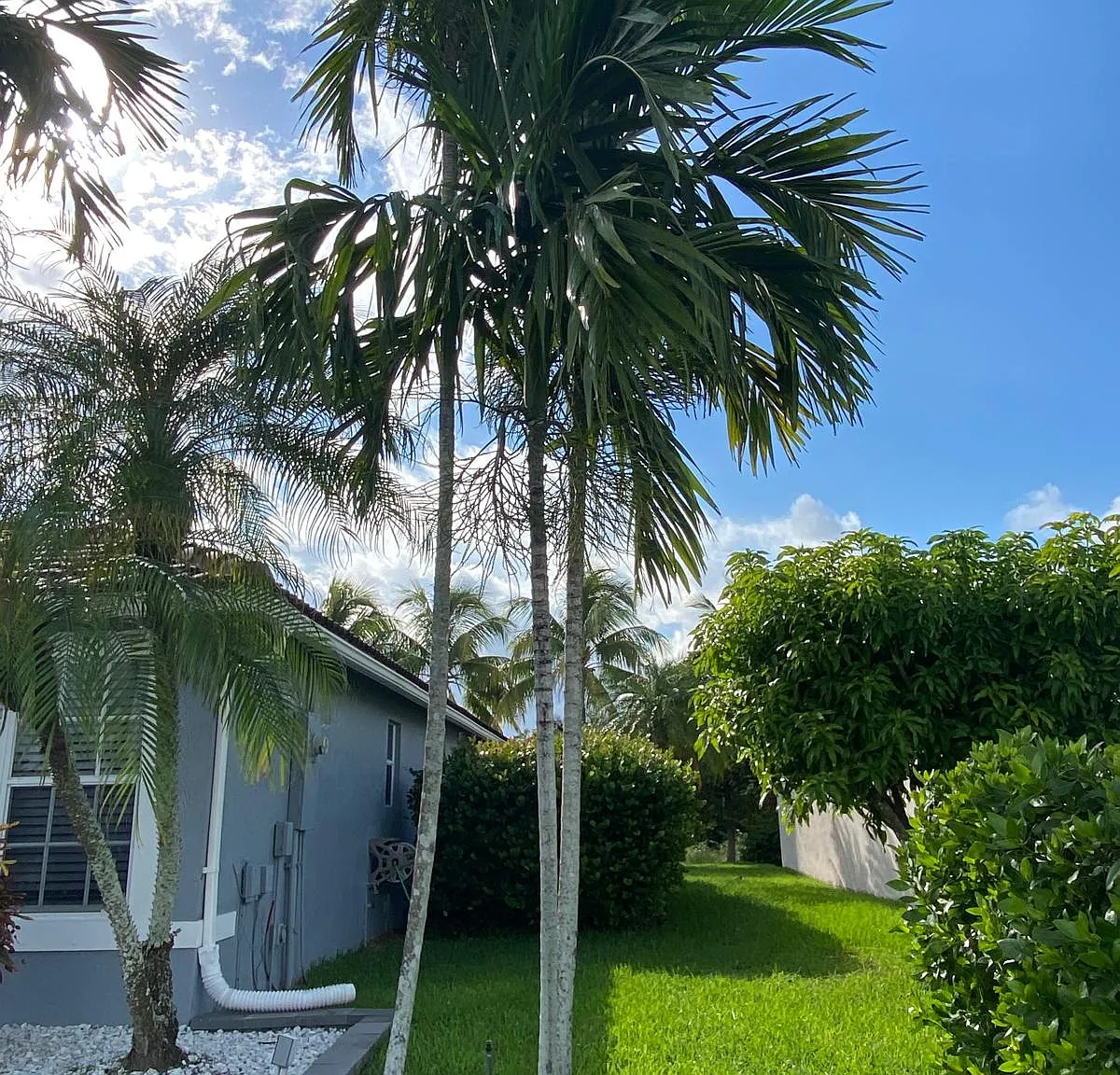 3 bed, 1718 sqft, $3,700 — Photo 4