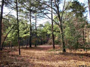 19388 Fm 315, Larue, TX 75770