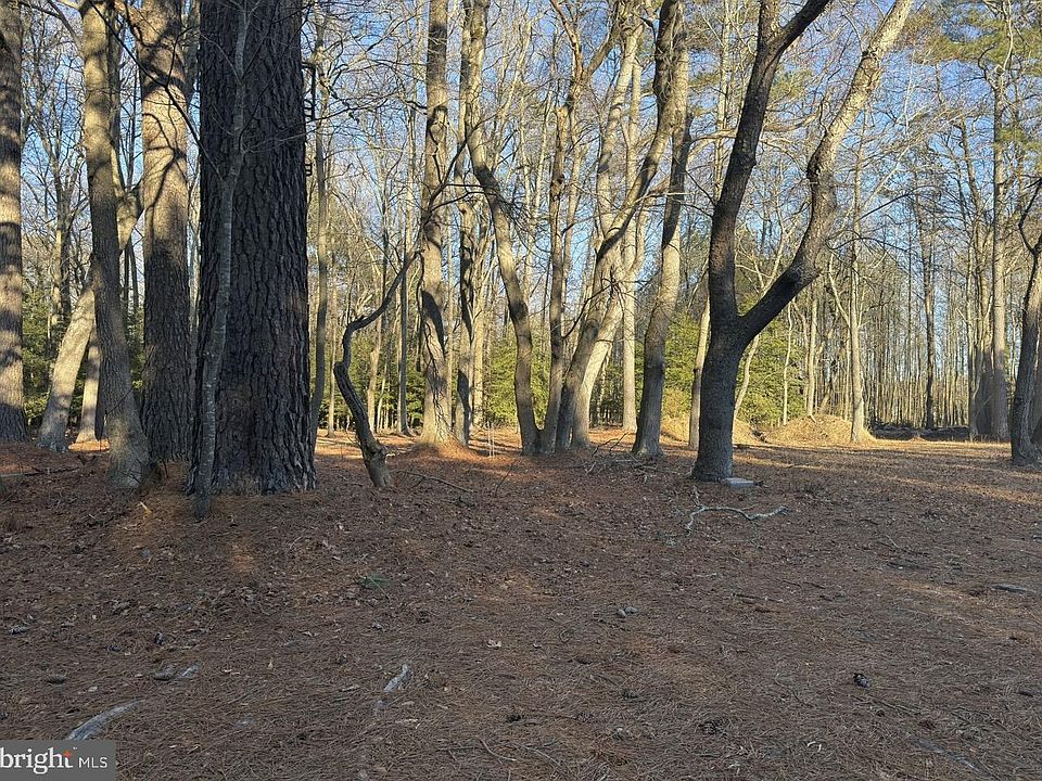 1st image of 10228 Sharptown Rd