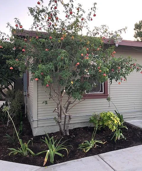 N Madrona Ave — Photo 16