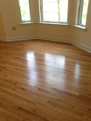 Rented by Picture Realty Inc. | media 19