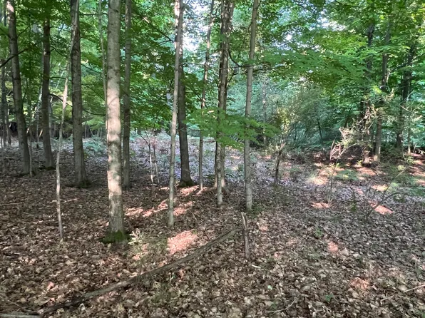 W Fountain Rd, Ludington, MI 49431