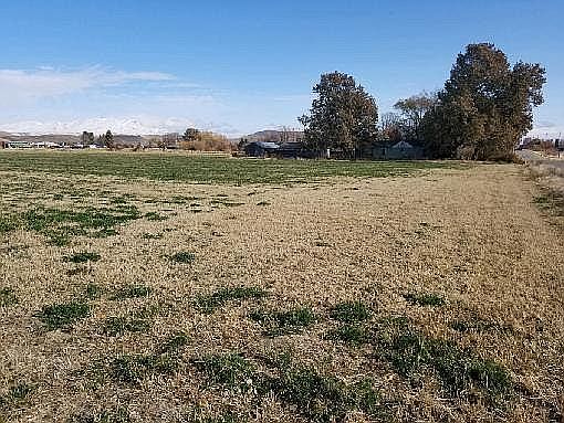 Field and Buildings
