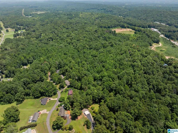 0 Sunshine Ave, Oneonta, AL 35121