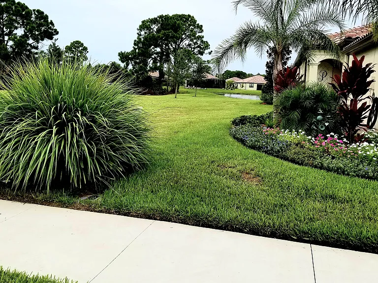 The Villa's Side yard view. =
Lots of space and lots of light for a pleasant and sunny experience.