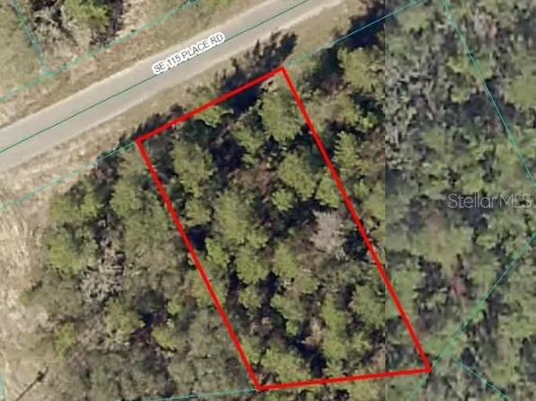 SE 115th Place Rd #11, Ocklawaha, FL 32179