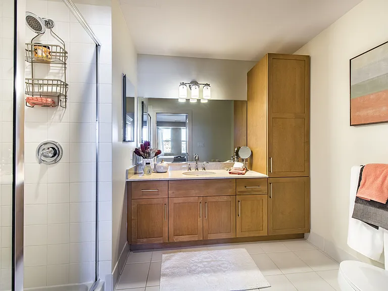 Bathroom Vanity