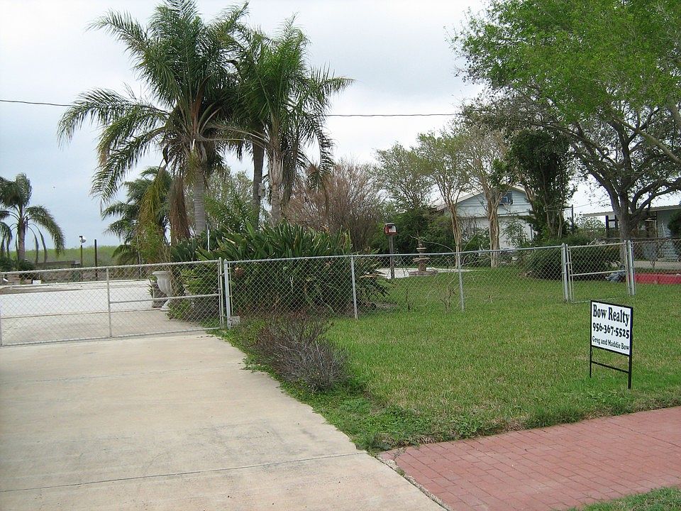 PALMS, PALMS AND MORE PALMS