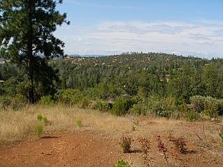 3rd image of 11003 Terrace Oaks Ln