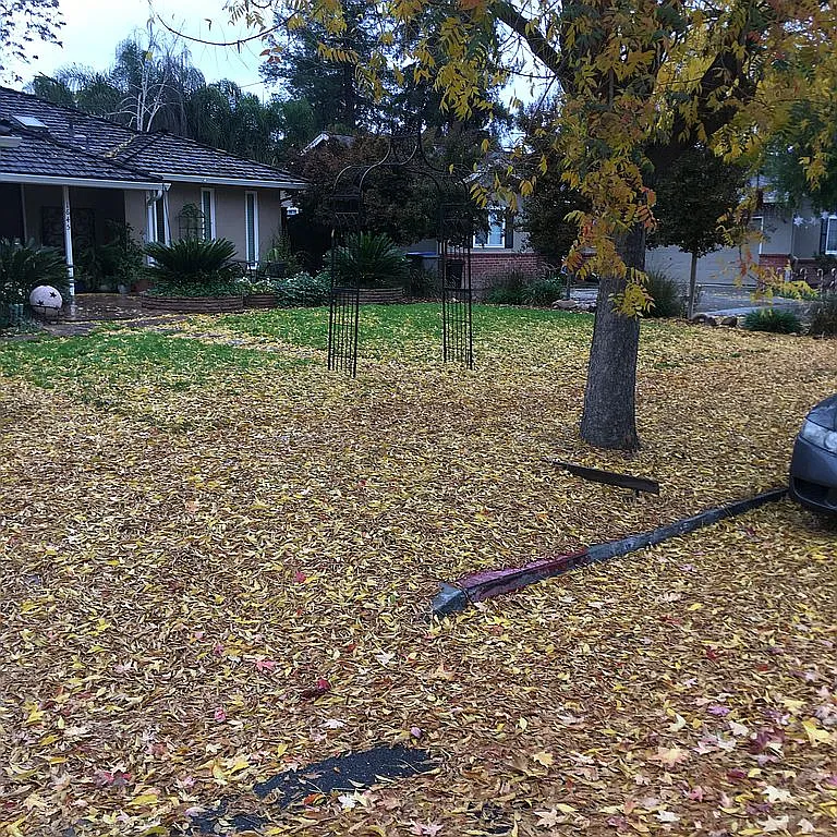 1645 Parkside Ave photo 1