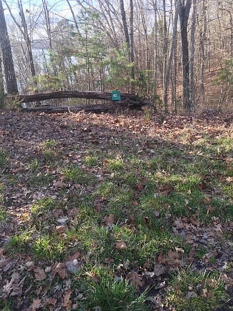 1st image of 790 Beehive Ln