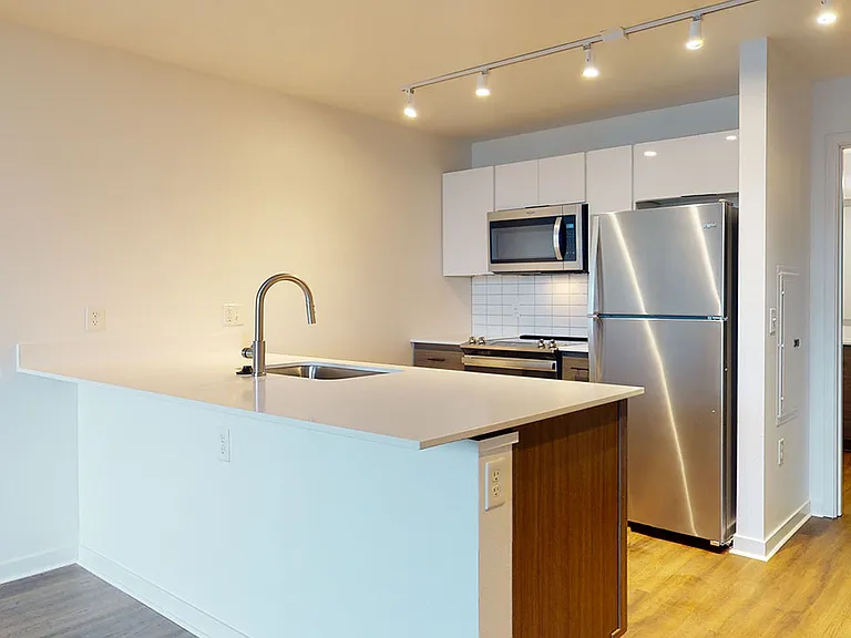 Apartment kitchen with stainless steel appliances, quartz countertops and wood-style flooring.