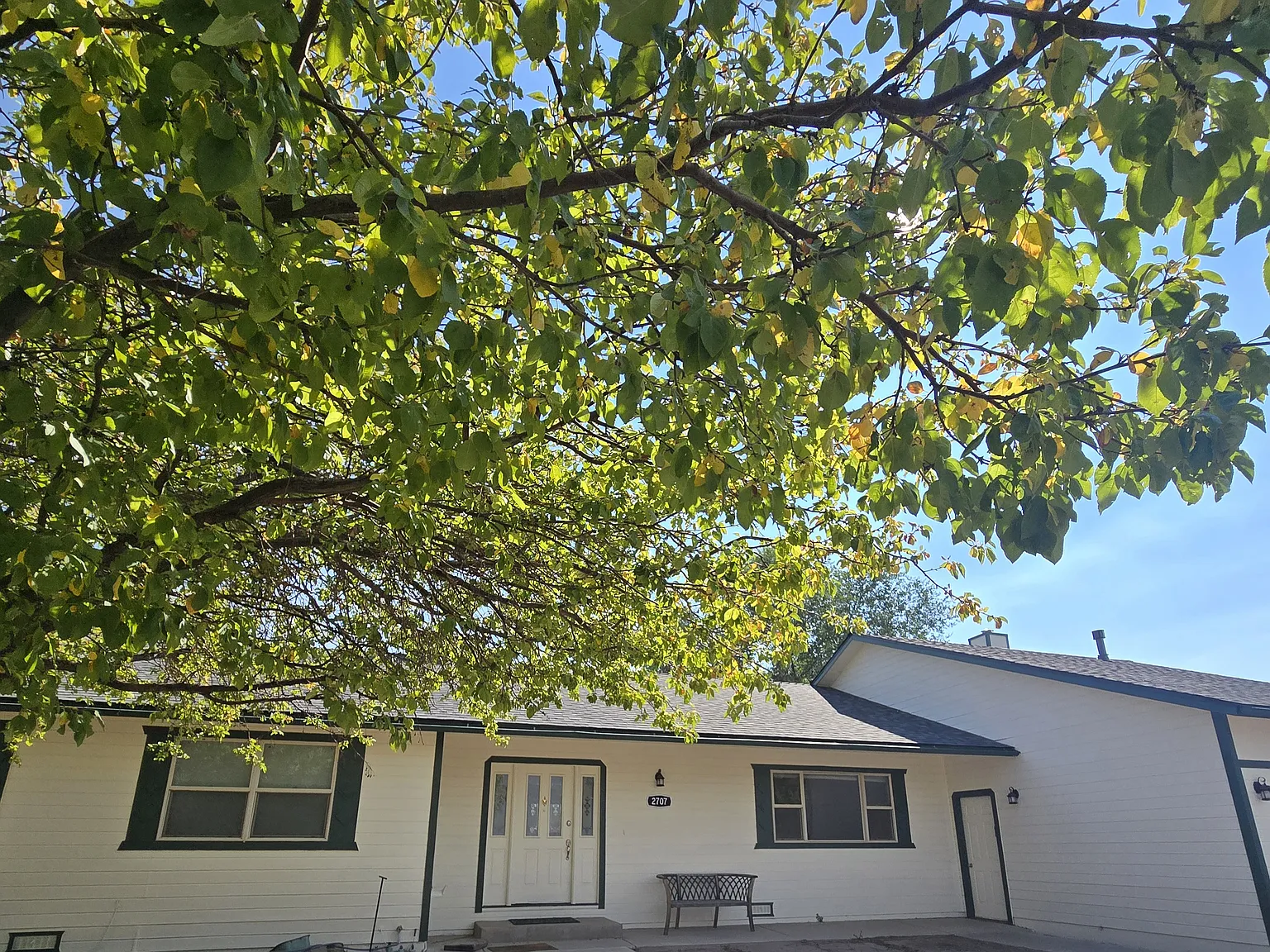 4 bed, 2168 sqft, $3,500 — Photo 2