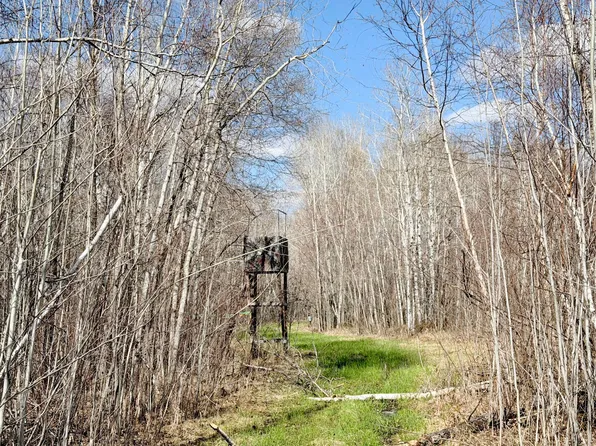 Tbd Nature Ave, Palisade, MN 56469