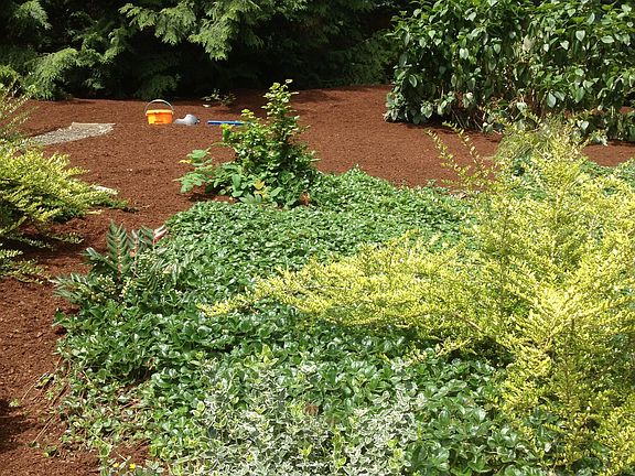 Green thumb fun