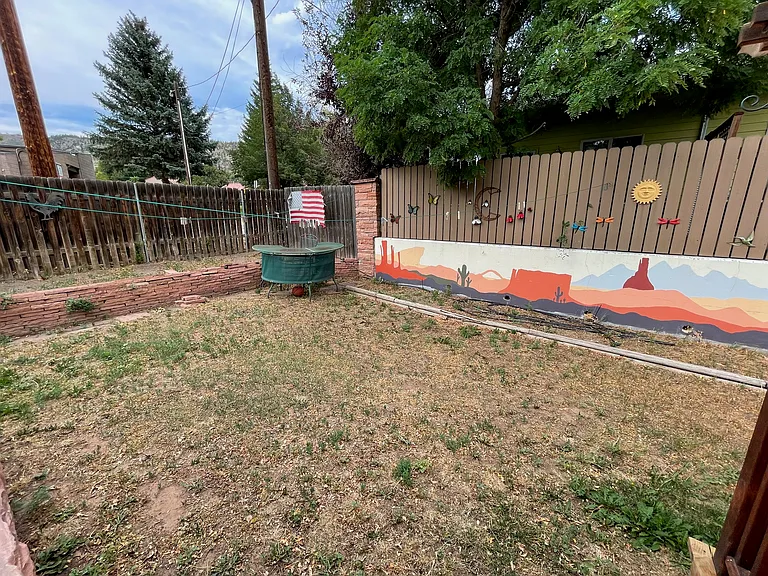 Your half of the current shared back yard.