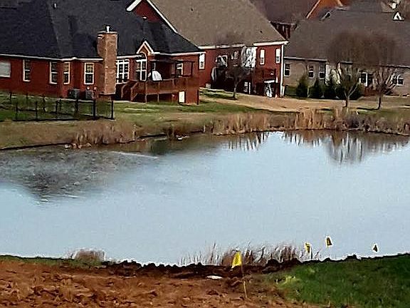 View from front deck