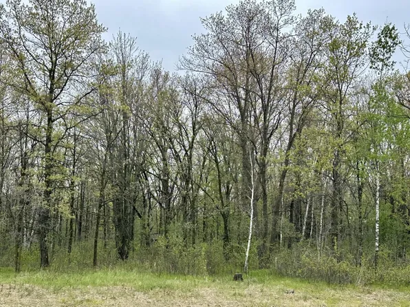 Tbd Jewel Rd, Little Falls, MN 56345