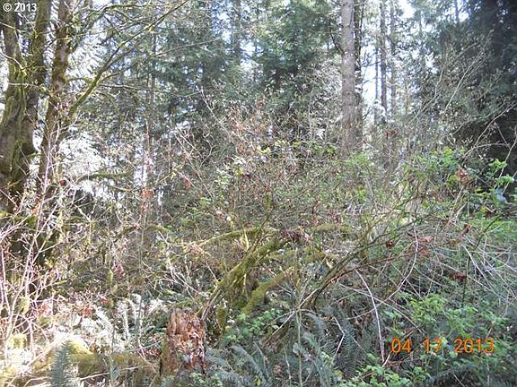 3rd image of 21012 NE 212th Ave