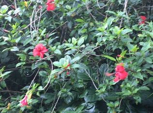 N Opihi St, Pahoa, HI 96778