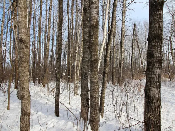 +/-40 Acres 10TH AVENUE, Lublin, WI 54447