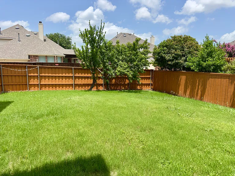 Backyard