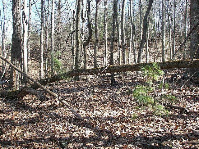 2nd image of Deep Ford Rd