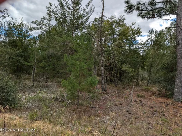 0200 PINE Way, Interlachen, FL 32148