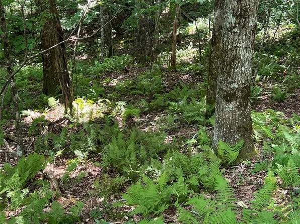 Lot 7 Sori Lane, Sapphire, NC 28774