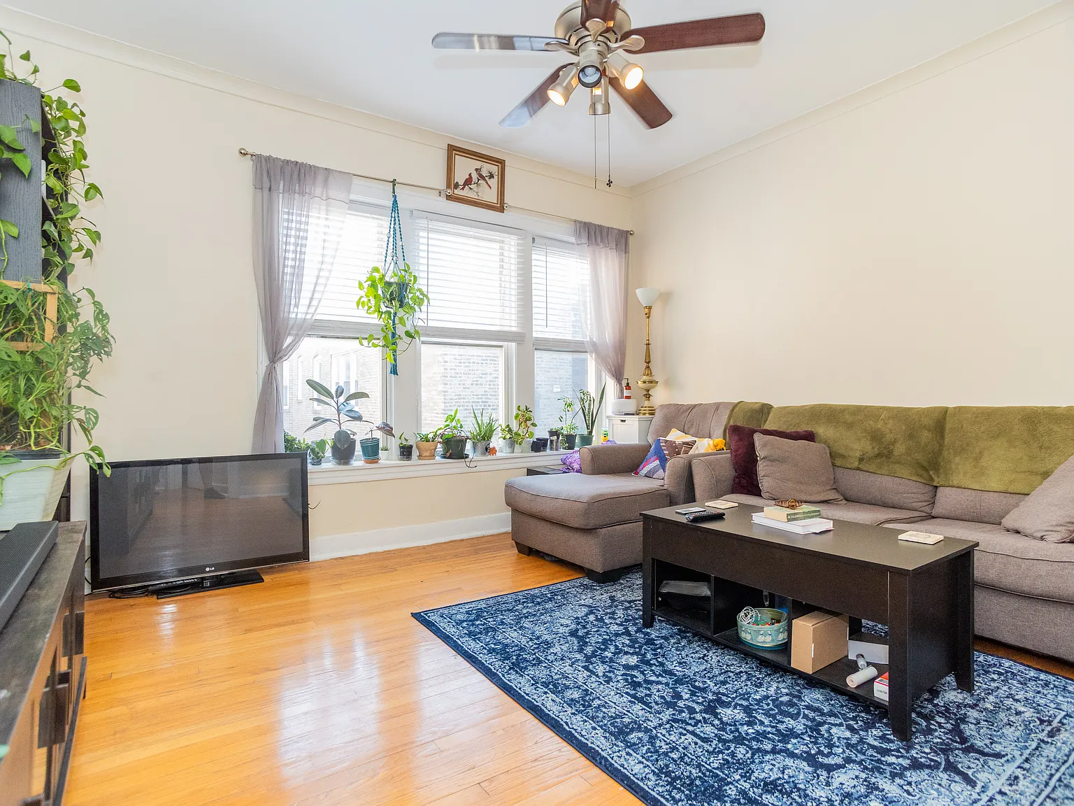1 bed, $1,695 — Photo 2