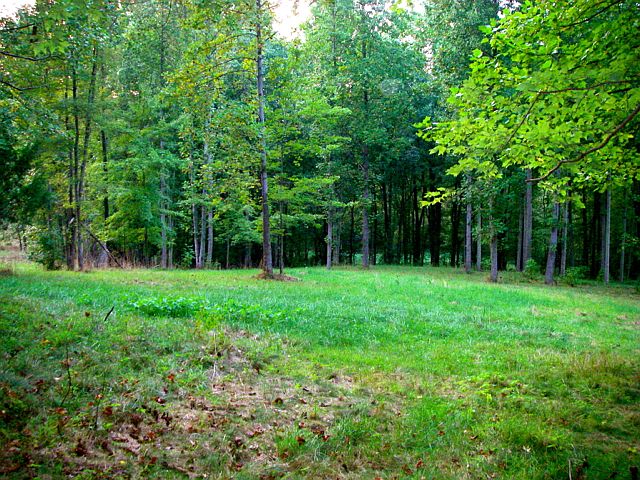 Gorgeous Building lot