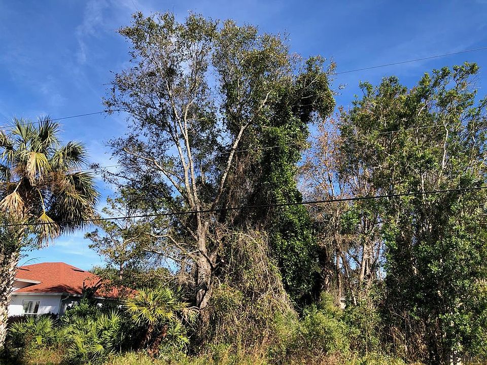 1st image of 53 Pine Croft Ln