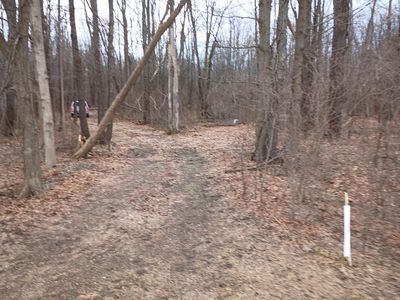 52nd St, Bangor, MI, 49013