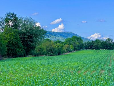 13073 Turleytown Rd, Broadway, VA, 22815